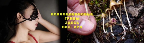 твердый Арсеньев