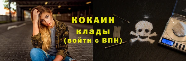 твердый Арсеньев
