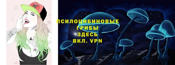 соль ск Аркадак