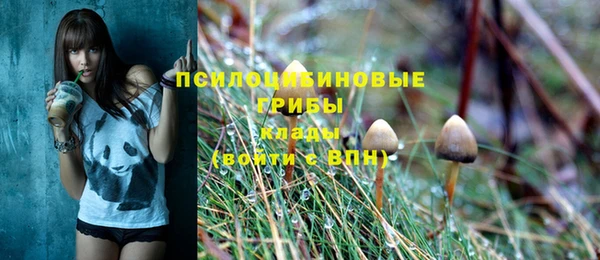 твердый Арсеньев