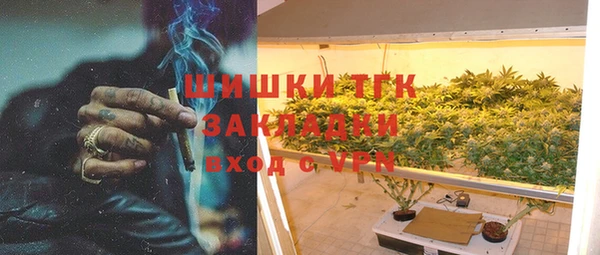 твердый Арсеньев
