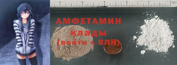 твердый Арсеньев